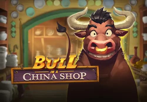 Bull in a China Shop